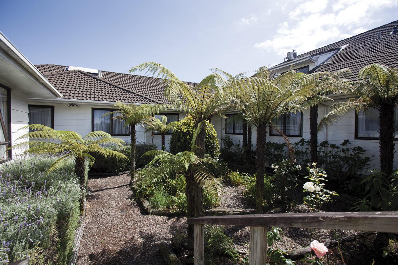 Takanini outside gardens with tall tree ferns