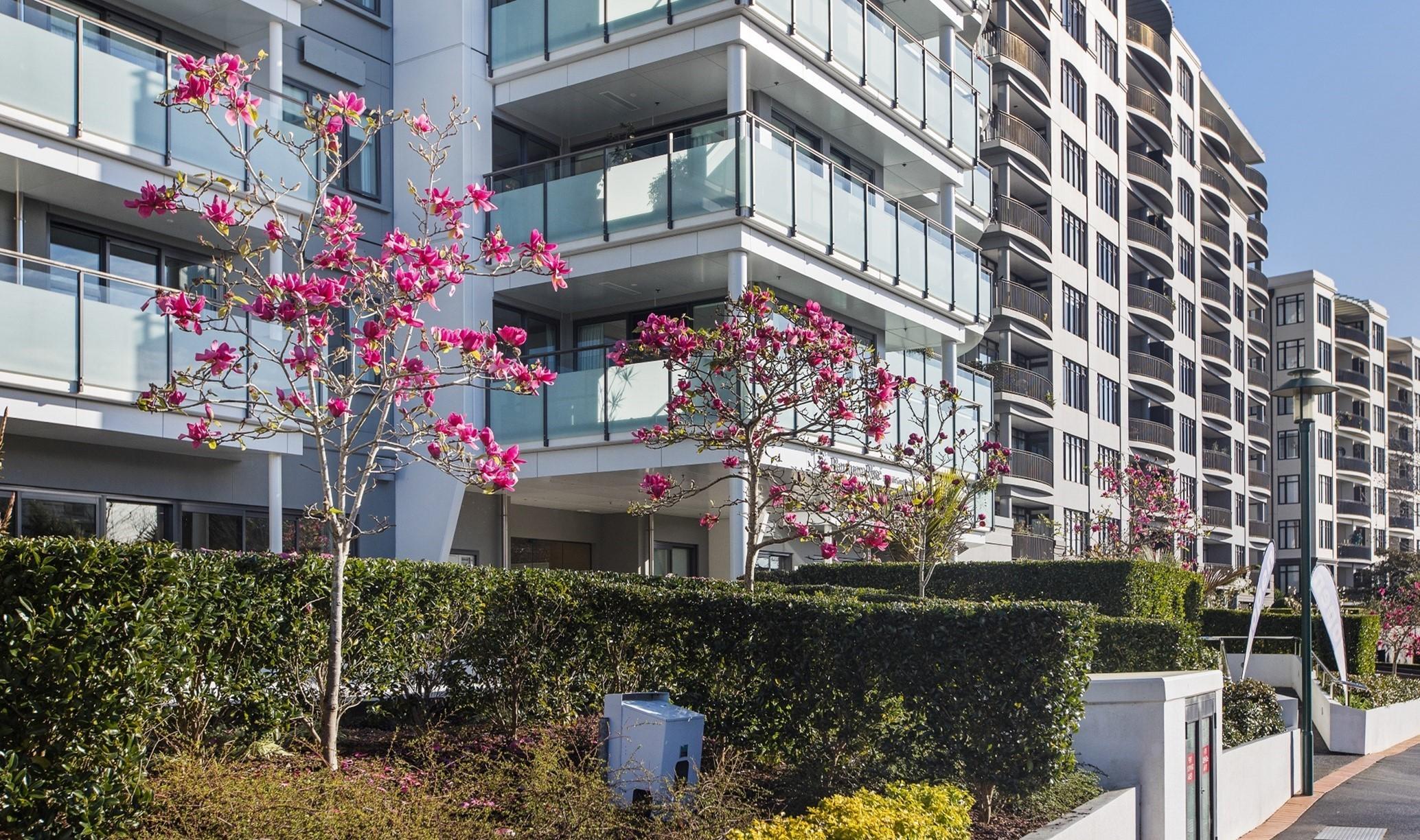 Exterior of Apartments and Magnolia Trees at full bloom